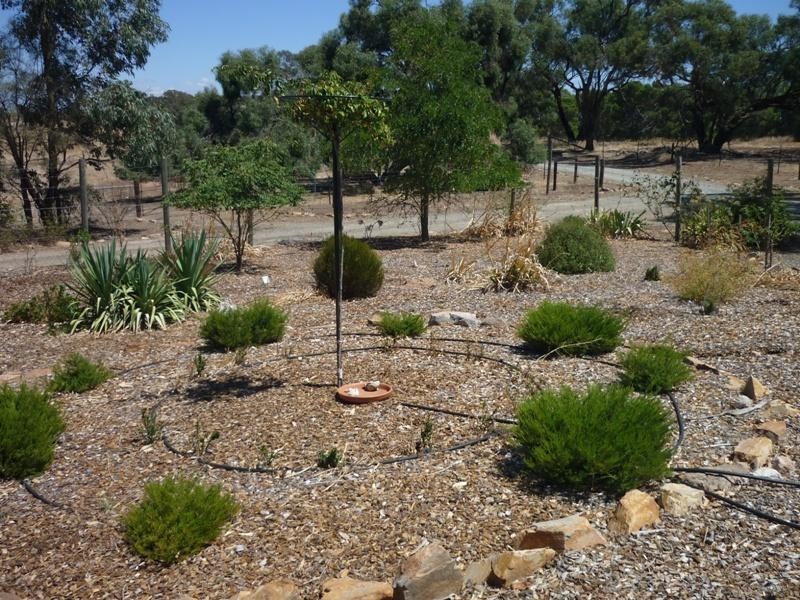 Lot 94 Marydale Road, Auburn SA 5451