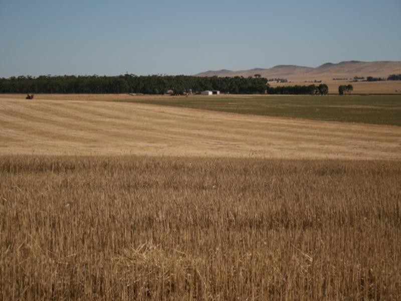 Block 15 and Allotment 11, Leighton SA 5417