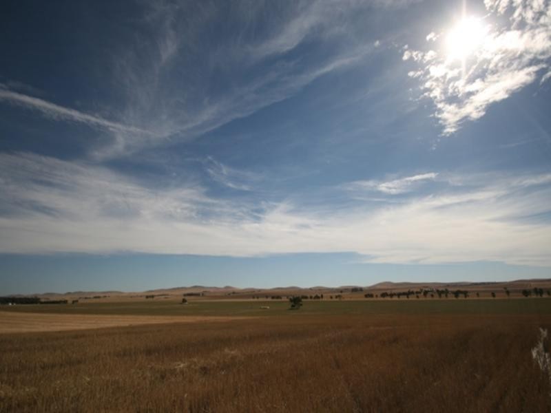 Block 15 and Allotment 11, Leighton SA 5417