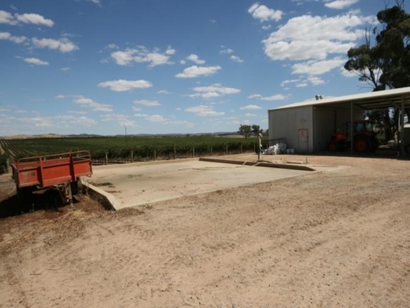 Lot 1 Kirribilly Road, Clare SA 5453