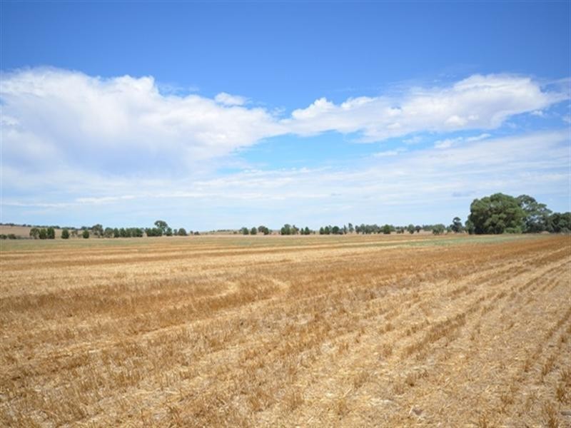 Auburn SA 5451