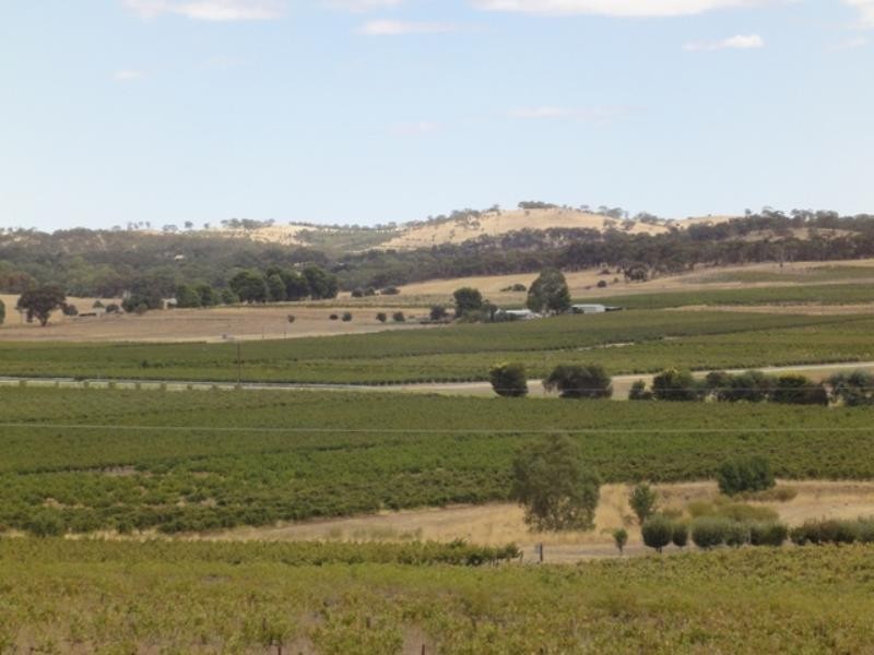 Lot 652 Main North Road, Stanley Flat SA 5453