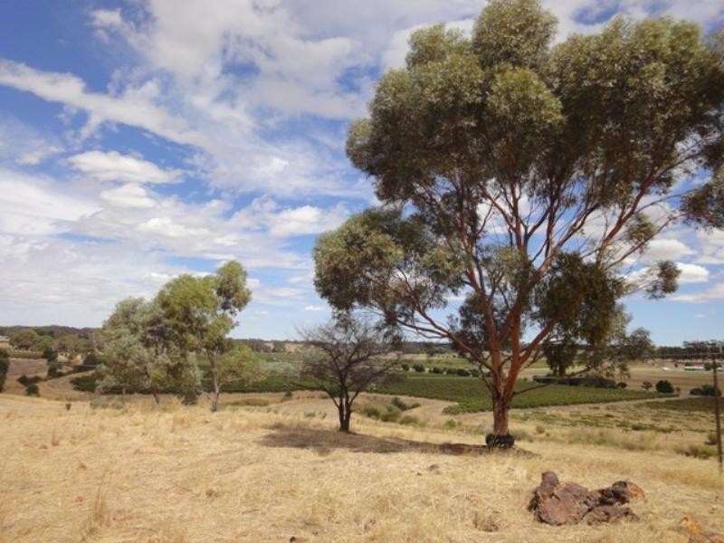 Lot 652 Main North Road, Stanley Flat SA 5453