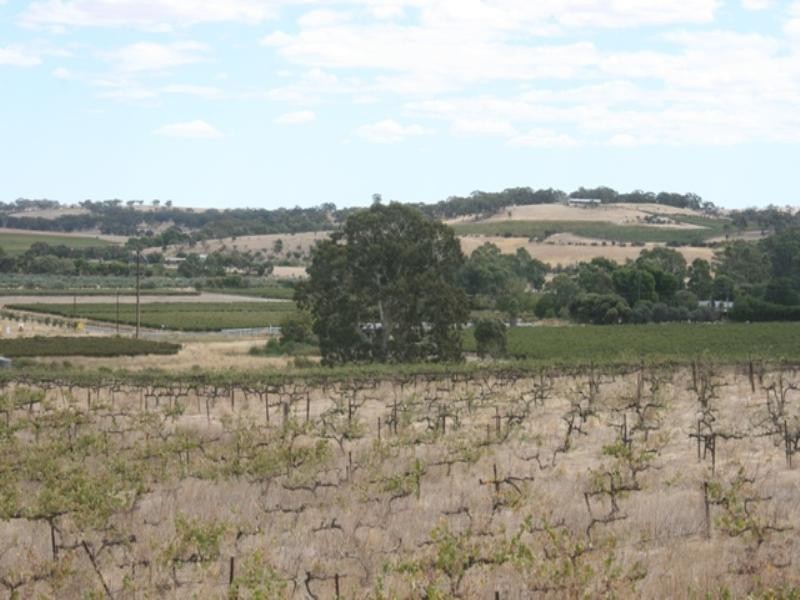 Lot 652 Main North Road, Stanley Flat SA 5453