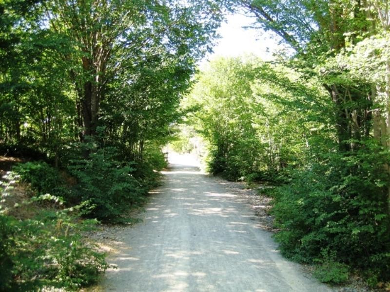 6 Warenda Road, Clare SA 5453