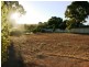 cnr Young St and Kingston Terrace, Auburn SA 5451