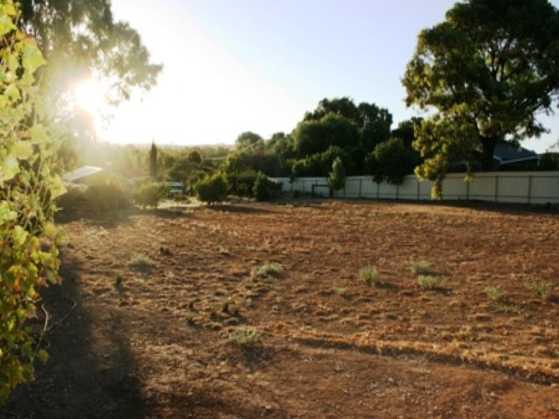 cnr Young St and Kingston Terrace, Auburn SA 5451