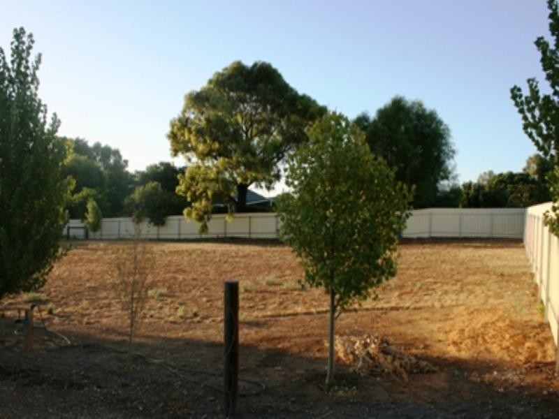 cnr Young St and Kingston Terrace, Auburn SA 5451