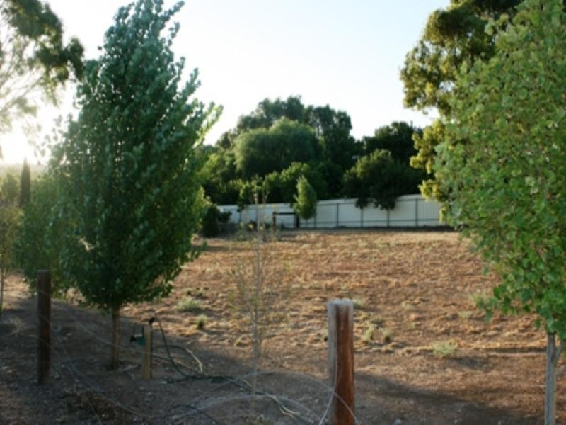 cnr Young St and Kingston Terrace, Auburn SA 5451