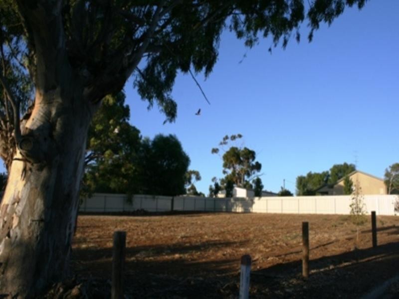 cnr Young St and Kingston Terrace, Auburn SA 5451
