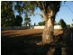 cnr Young St and Kingston Terrace, Auburn SA 5451