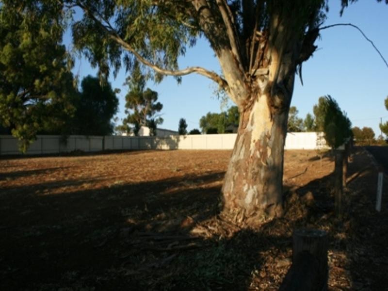 cnr Young St and Kingston Terrace, Auburn SA 5451