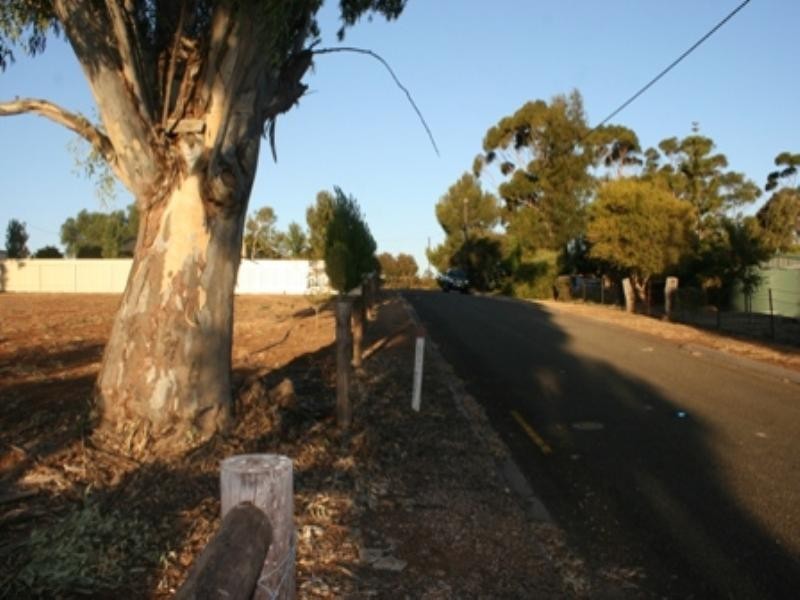 cnr Young St and Kingston Terrace, Auburn SA 5451