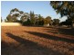 cnr Young St and Kingston Terrace, Auburn SA 5451