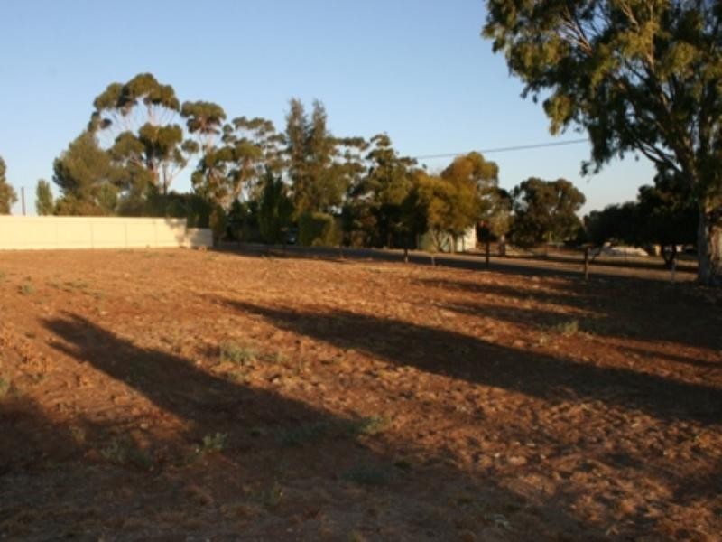 cnr Young St and Kingston Terrace, Auburn SA 5451