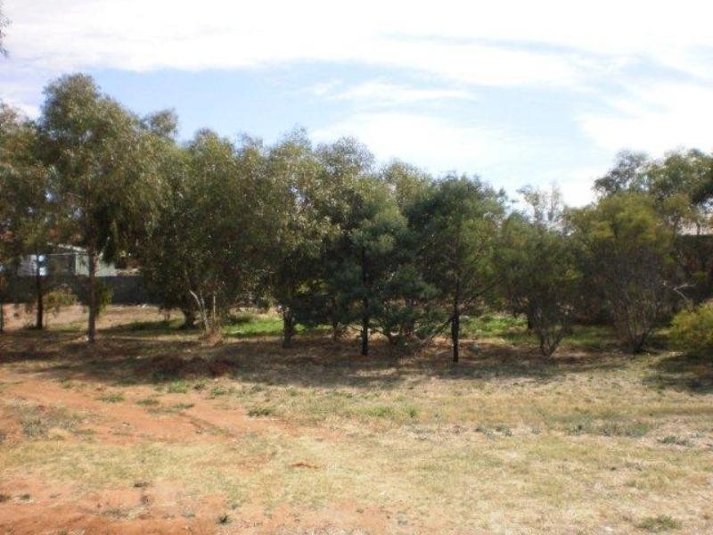 92 Pandappa Drive, Clare SA 5453