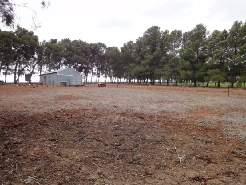 Lots 7 and 8 Lincoln Avenue, Spalding SA 5454
