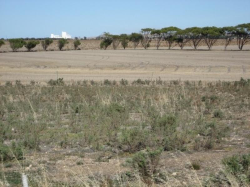 Lot 246 19 Douglas Court, Tiddy Widdy Beach SA 5571