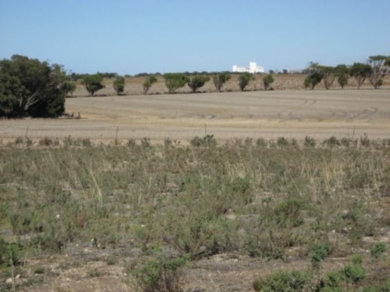 Lot 246 19 Douglas Court, Tiddy Widdy Beach SA 5571