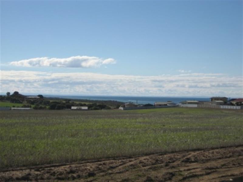 5 Allen Road, Tiddy Widdy Beach SA 5571