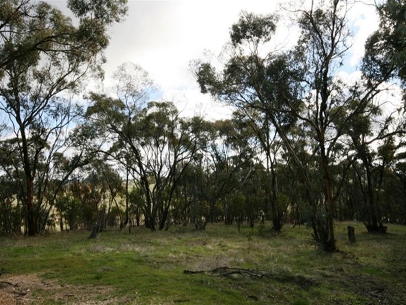 Lot 51 Boconnoc Park Road, Armagh SA 5453