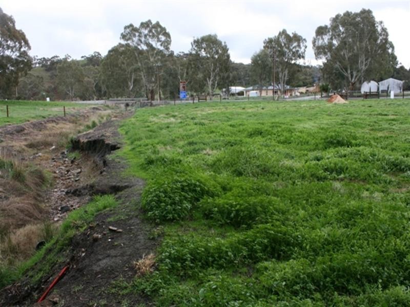 LOT 12 Bayes Road, Sevenhill SA 5453