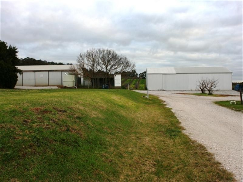 Lot 352 Light Pass Road, Vine Vale SA 5352