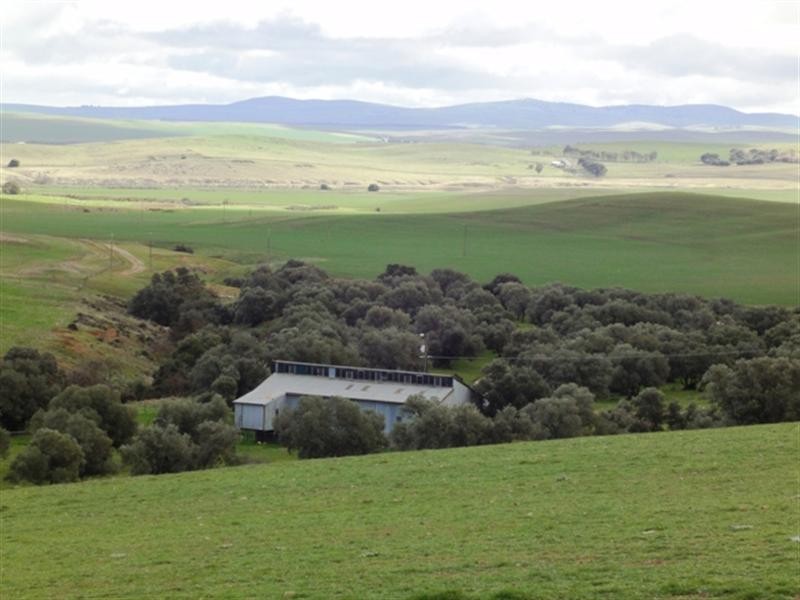 “Mungcowie” Mungcowie Road, Spalding SA 5454