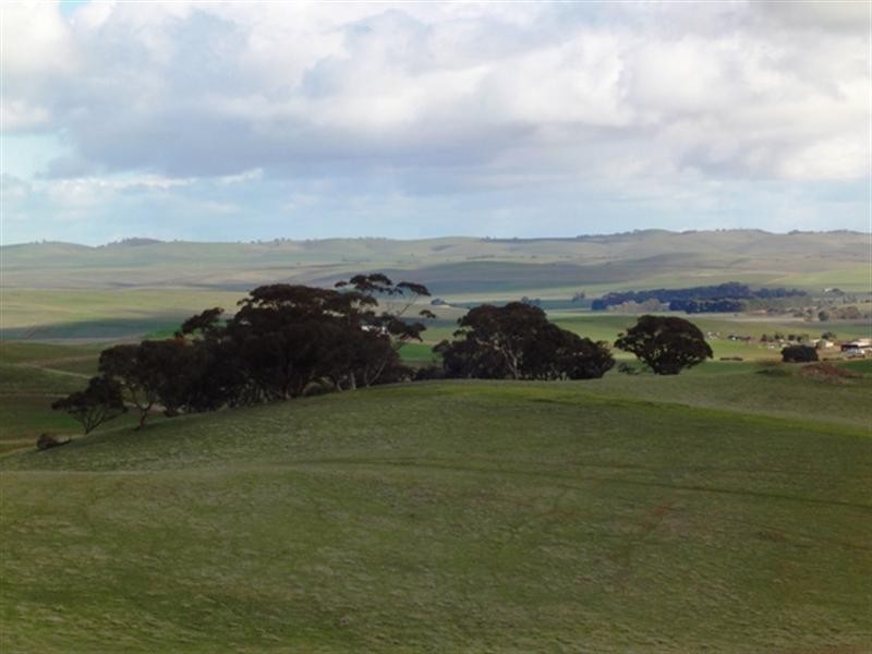 “Mungcowie” Mungcowie Road, Spalding SA 5454