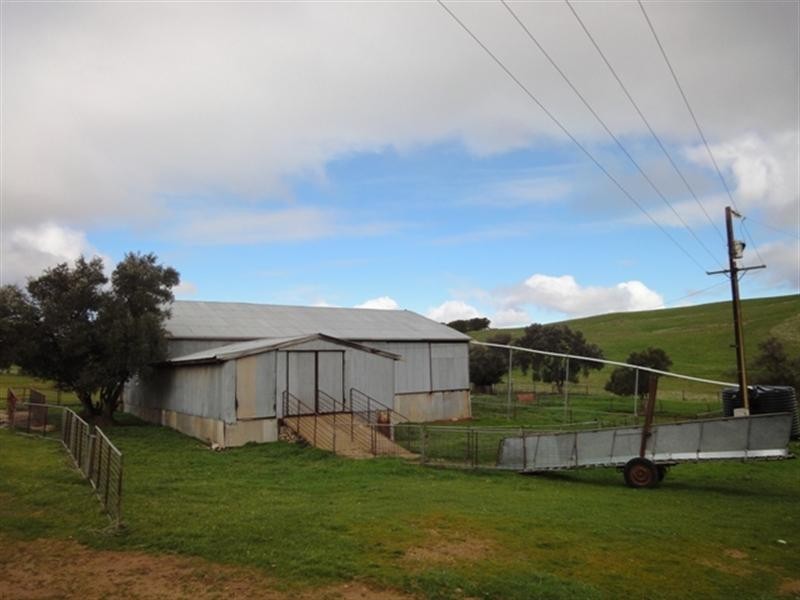 “Mungcowie” Mungcowie Road, Spalding SA 5454