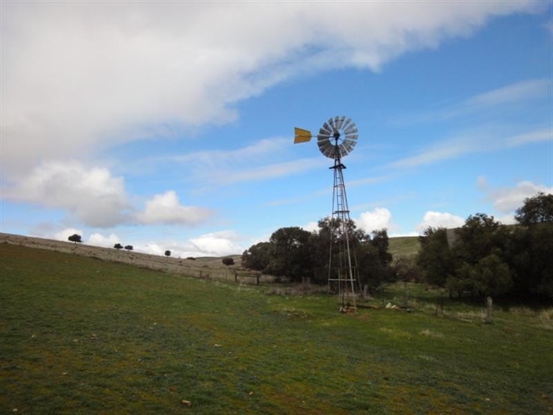 “Mungcowie” Mungcowie Road, Spalding SA 5454
