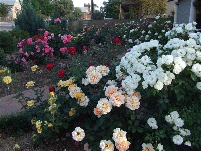 49 Sixth Street, Gladstone SA 5473