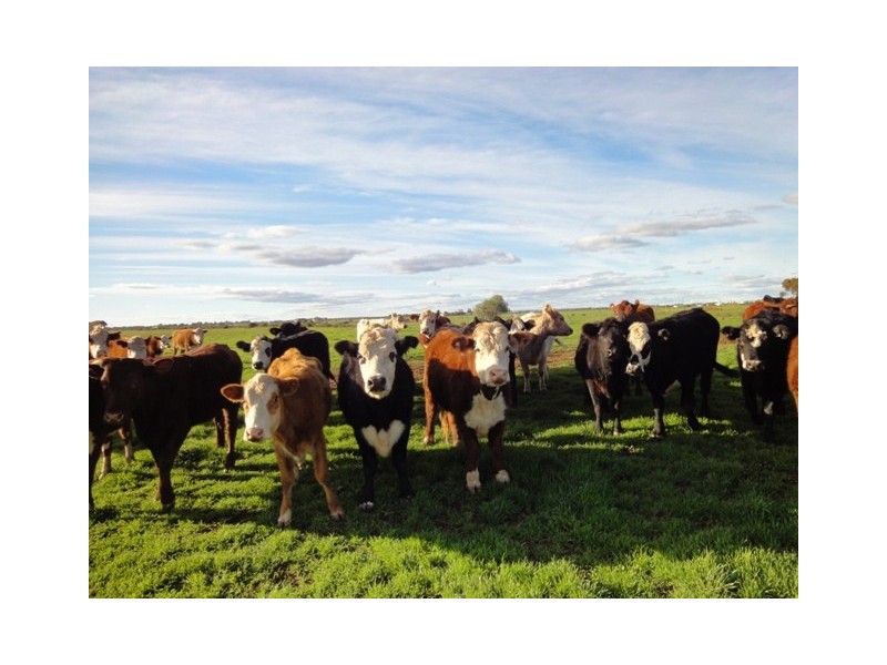 Sec 524 Wasley Road, Two Wells SA 5501