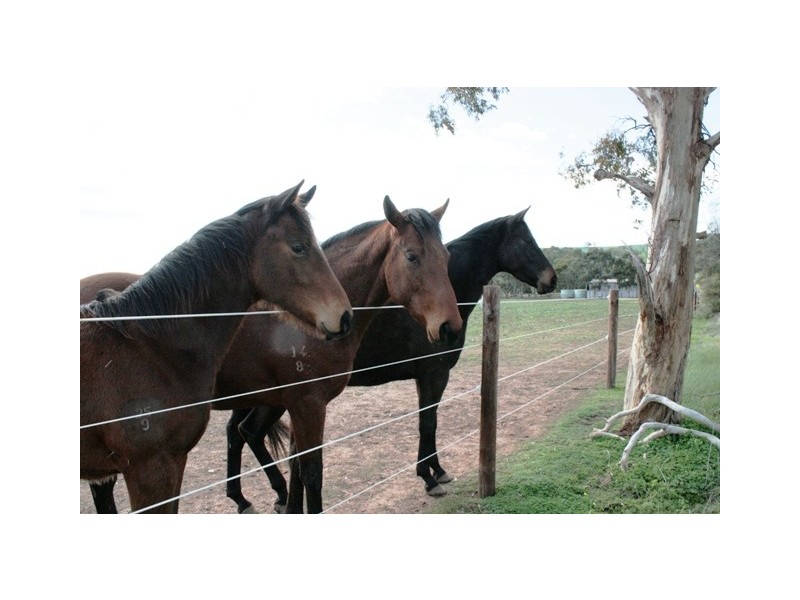 Lot 1 Roach Road, Stanley Flat, Clare SA 5453
