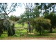 Lot 1 Roach Road, Stanley Flat, Clare SA 5453