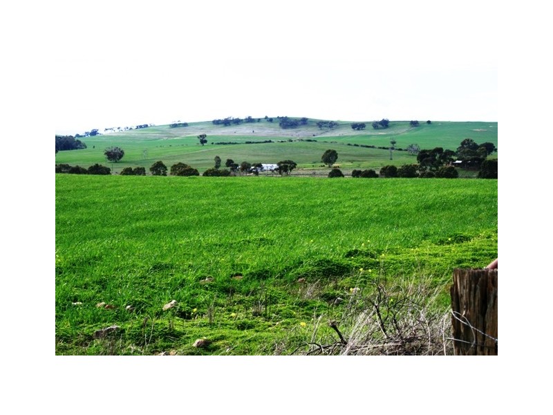Lot 1 Roach Road, Stanley Flat, Clare SA 5453