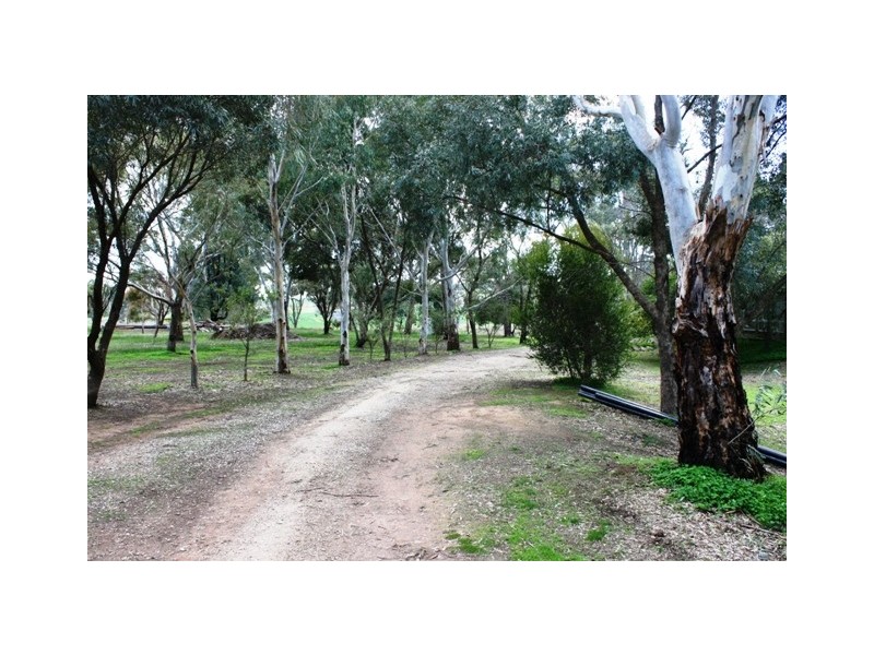 Lot 1 Roach Road, Stanley Flat, Clare SA 5453