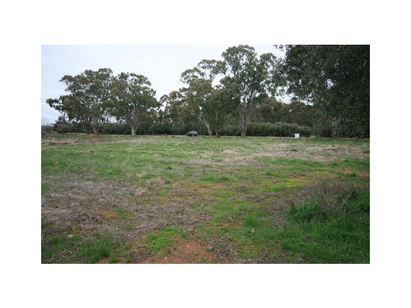 Lots 1 and 2 Torr Street, Mintaro SA 5415