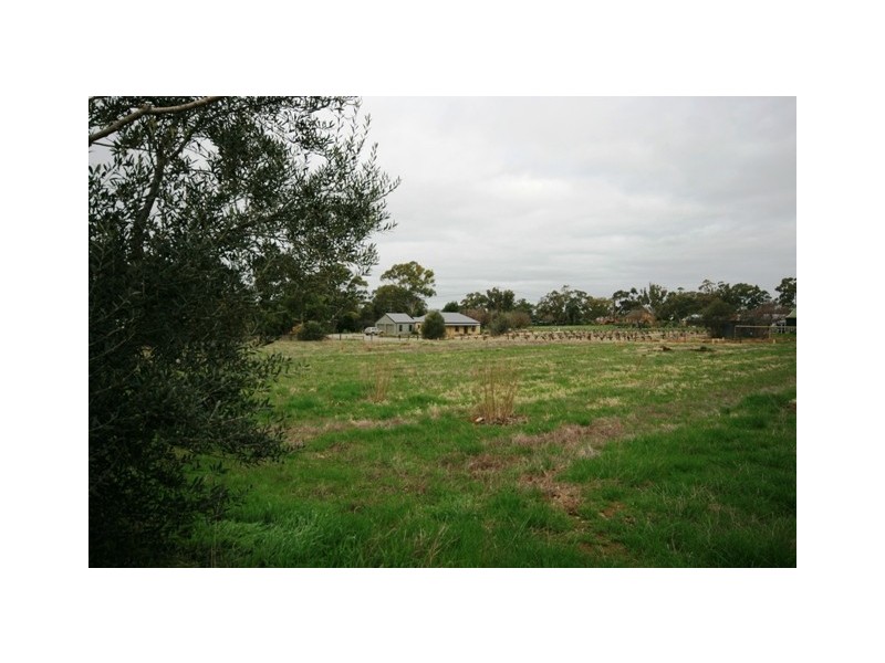 Lots 1 and 2 Torr Street, Mintaro SA 5415