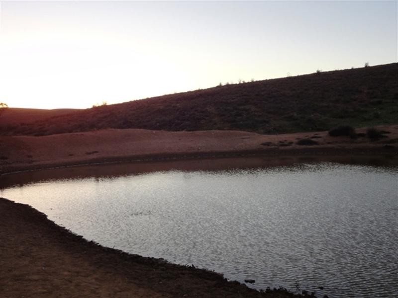 “Dares Hill” Dares Hill Summit Road, Mount Bryan East SA 5419