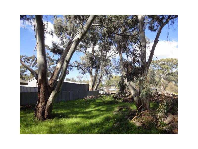 Dev Lot 3 Elizabeth Street, Banksia Park SA 5091
