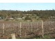 Lot 2 Neagles Rock, Main Nth Road, Clare SA 5453