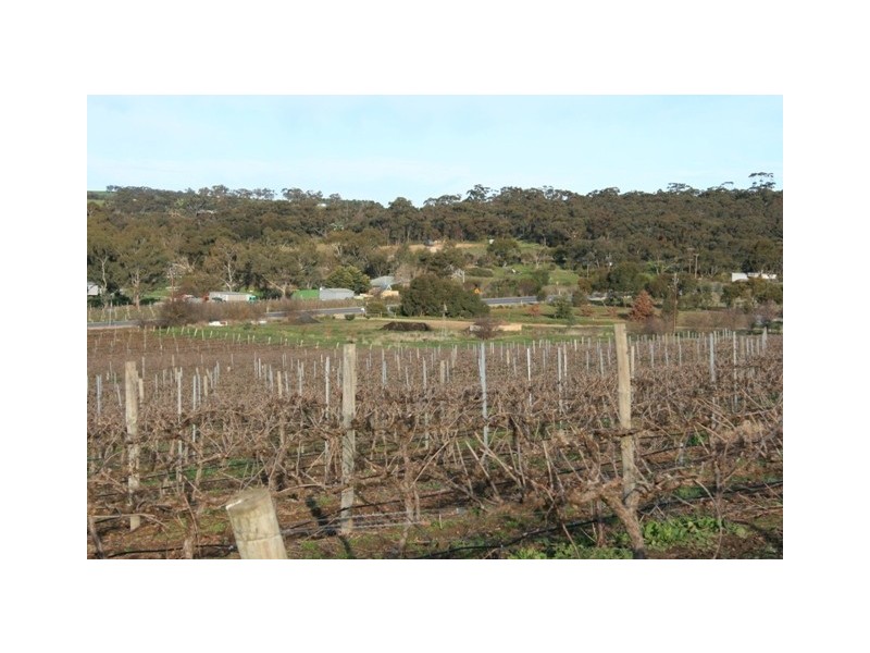 Lot 2 Neagles Rock, Main Nth Road, Clare SA 5453