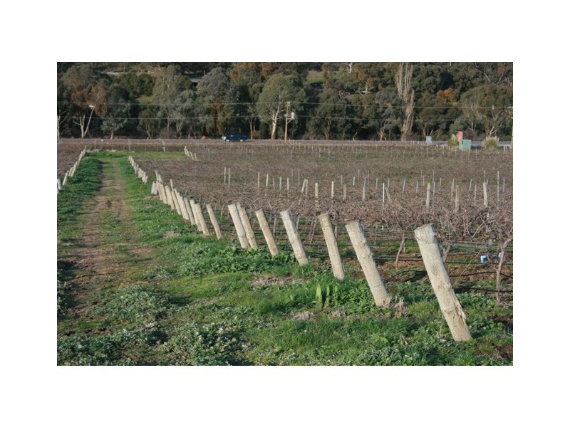 Lot 2 Neagles Rock, Main Nth Road, Clare SA 5453