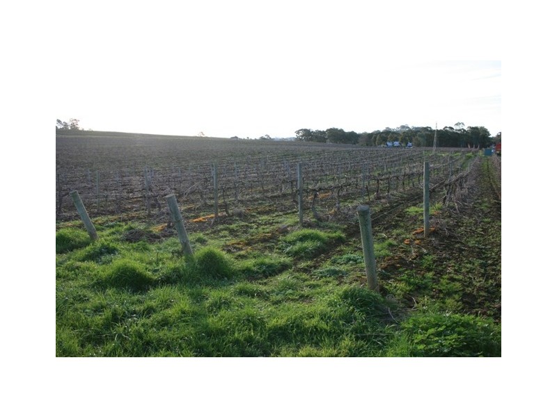 Lot 2 Neagles Rock, Main Nth Road, Clare SA 5453