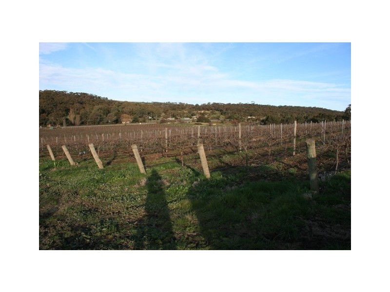 Lot 2 Neagles Rock, Main Nth Road, Clare SA 5453