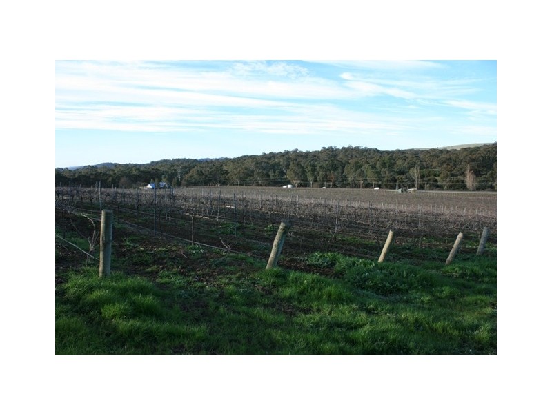 Lot 2 Neagles Rock, Main Nth Road, Clare SA 5453