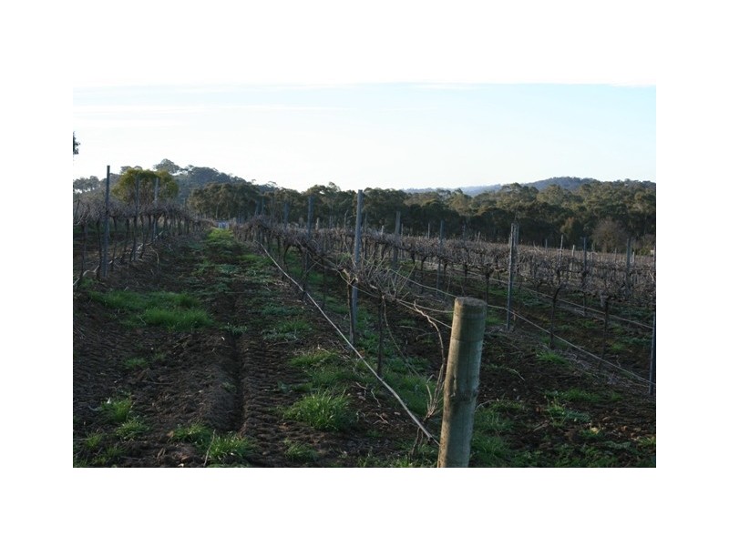 Lot 2 Neagles Rock, Main Nth Road, Clare SA 5453