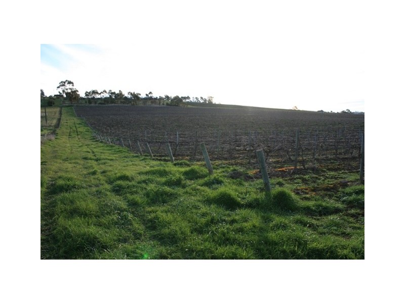 Lot 2 Neagles Rock, Main Nth Road, Clare SA 5453