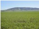 3 Lots “Baldina”, South Hummocks SA 5550